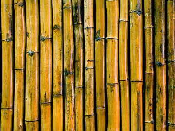 Yellow bamboo pole wall partition decoration texture (ID:ffaeh084966)