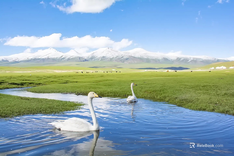 Wild Scenery texture