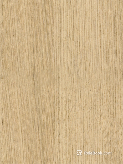Light raw wood grain interior wall finish texture