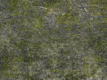 moss texture (ID:ffagg30366)