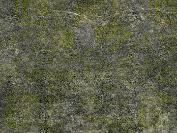 moss texture (ID:ffagg30366)