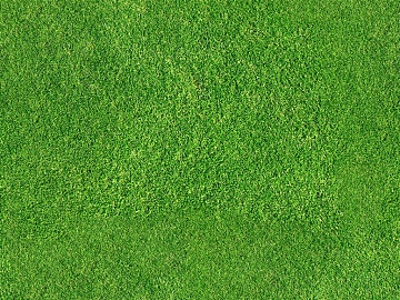 Turf texture (ID:ffabg79645)