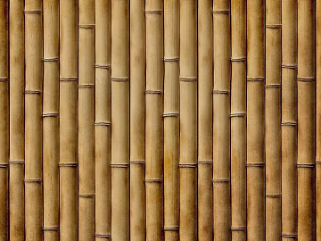 Bamboo texture (ID:ffaeg25423)