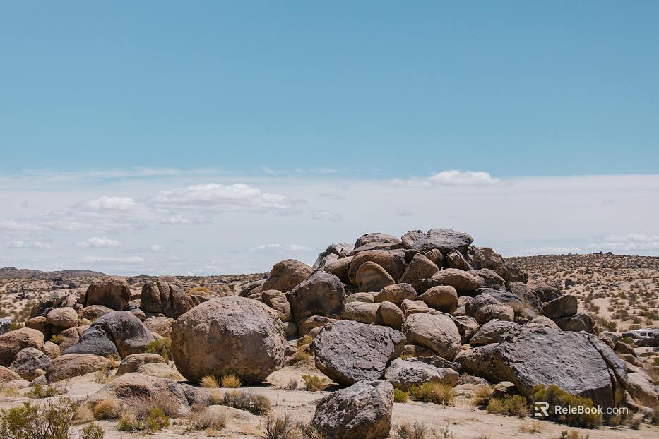 Wild Scenery texture
