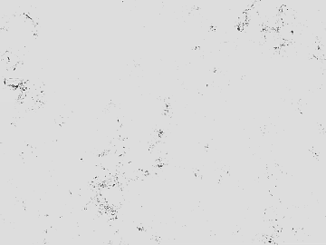 Black and White Bump 3d model