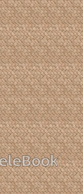 Woven Rattan Seamless texture