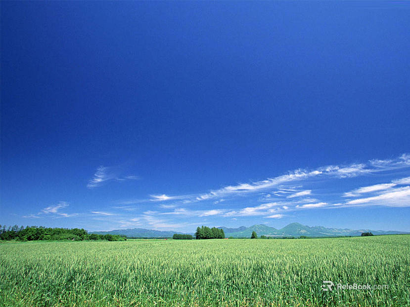Wild Scenery texture