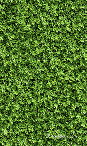 Green plant wall background decoration texture
