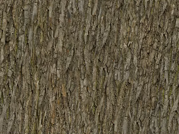 bark texture (ID:ffacg92950)