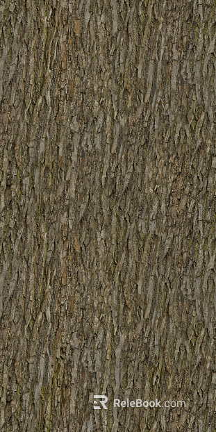 bark texture