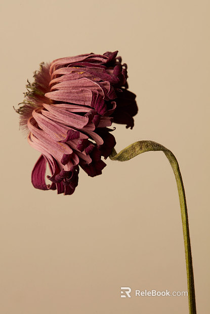 Plant painting texture