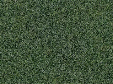Turf texture (ID:ffaff1485)
