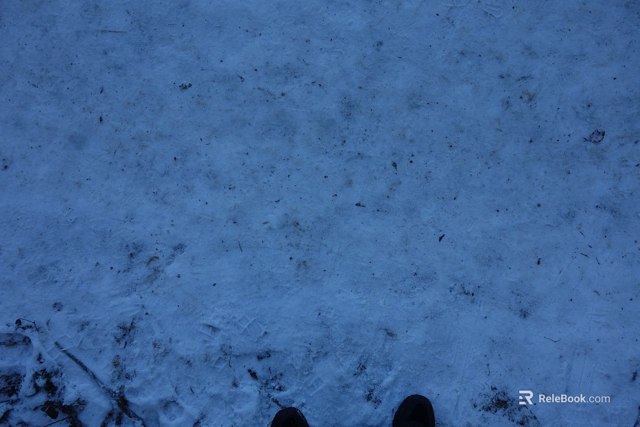 Snow texture