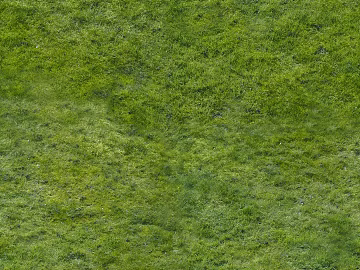 Turf texture (ID:ffacg20578)