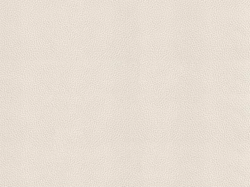 Leather Fine Leather Leather Beige Leather texture (ID:ffaeh069944)
