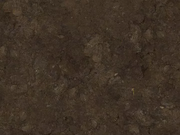Ground texture (ID:ffaeg56917)
