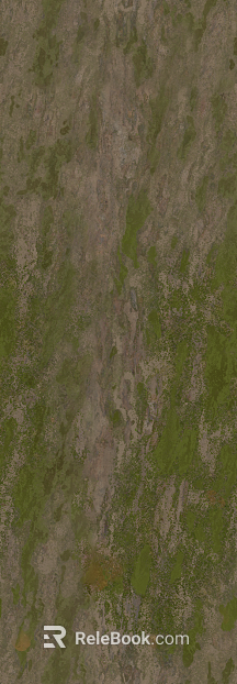 gray green rock outdoor ground stone texture