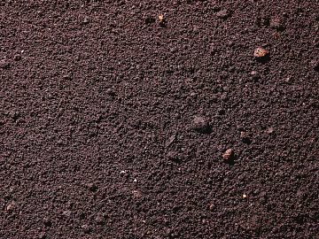 Mud texture (ID:ffagf3546)