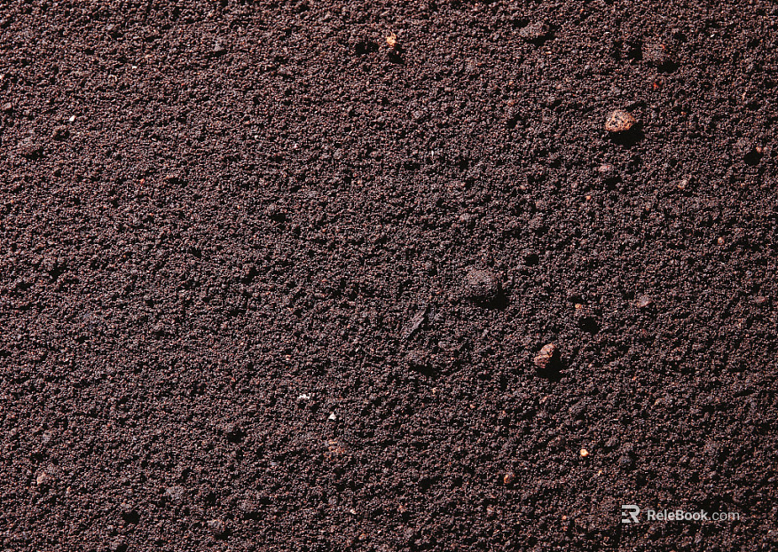 Mud texture