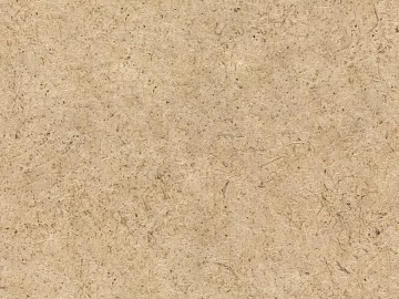 Coconut board Cork fiberboard Cork board Oak board texture (ID:ffach534475)