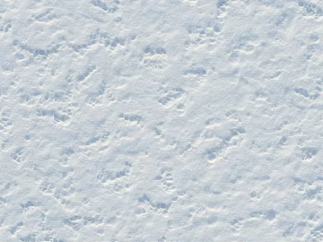 snow ice white winter cold ground texture (ID:ffajh451077)