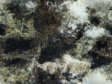 Granite texture (ID:ffajg72445)