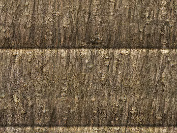 Wood texture (ID:ffagg59055)