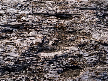 carbon-fired wood carbon black wood texture (ID:ffabg88447)