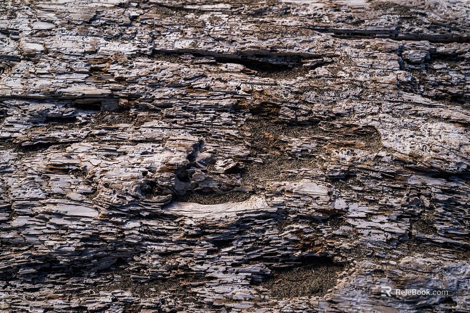 carbon-fired wood carbon black wood texture