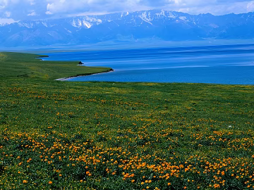 Wild Scenery texture (ID:ffaeg79357)