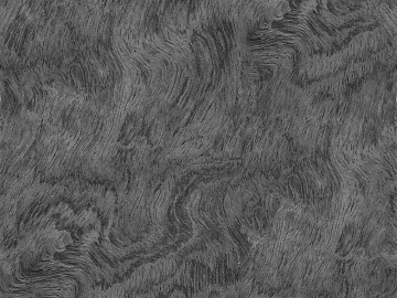 Black and White Bump texture (ID:ffacg85816)