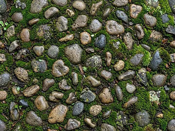 Gray green moss cobblestone courtyard pavement texture (ID:ffaeh402621)