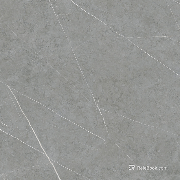 Grey Mesh Marble Slab texture
