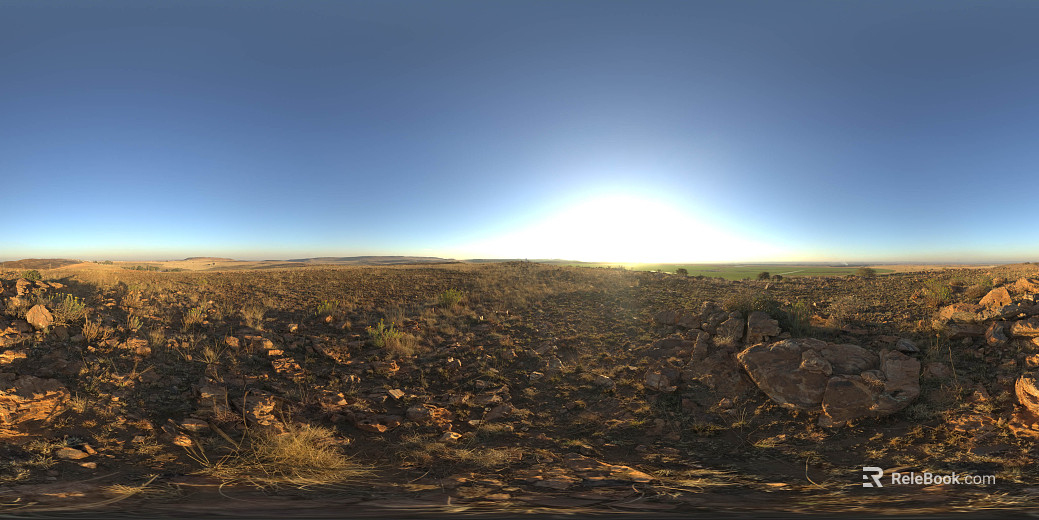 Dusk Wilderness Lawn HDR texture