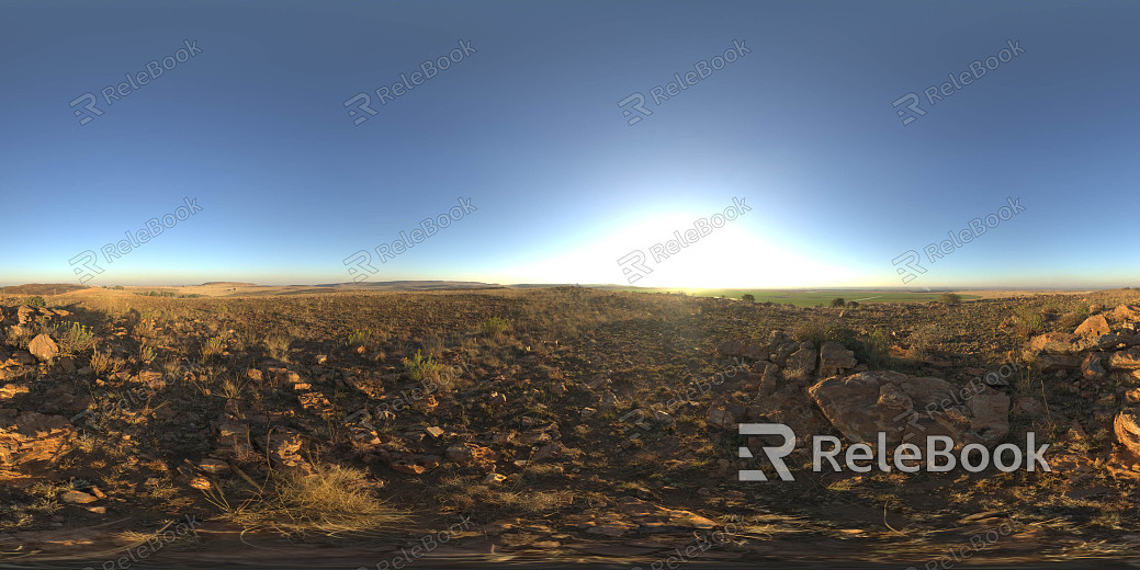 wild hdri texture