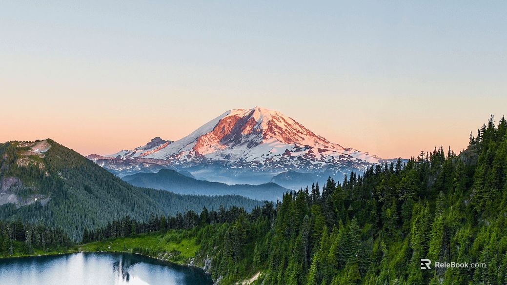 Wild Scenery texture