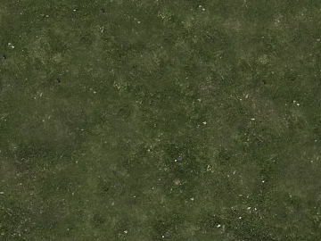 Turf texture (ID:ffagf2470)