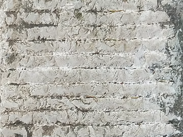 Cement floor texture (ID:ffacg20768)