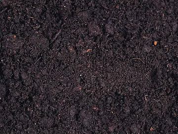 Mud texture (ID:ffaeg93680)