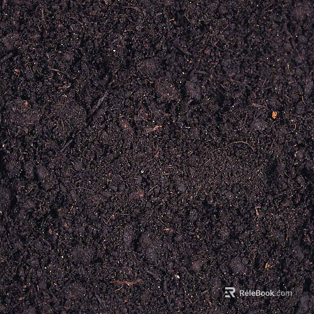 Mud texture