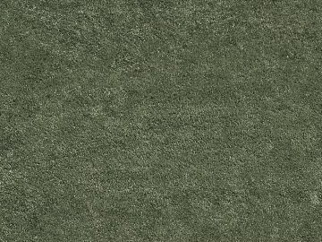 Turf texture (ID:ffajg01167)