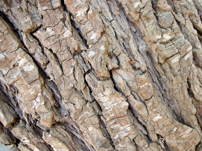 bark texture