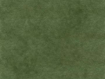 Turf texture (ID:ffajg44732)