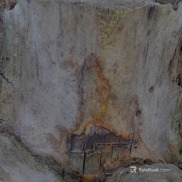 old wood texture