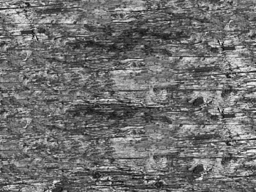 black and white old wood texture (ID:ffagg91824)