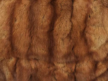 Animal Blanket texture (ID:ffabg79500)