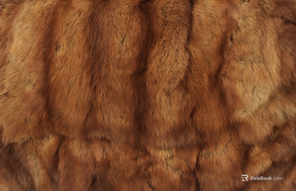 Animal Blanket texture
