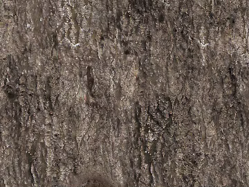 bark 3d model