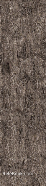bark texture