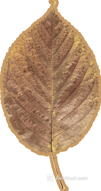 leaves texture